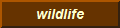 wildlife